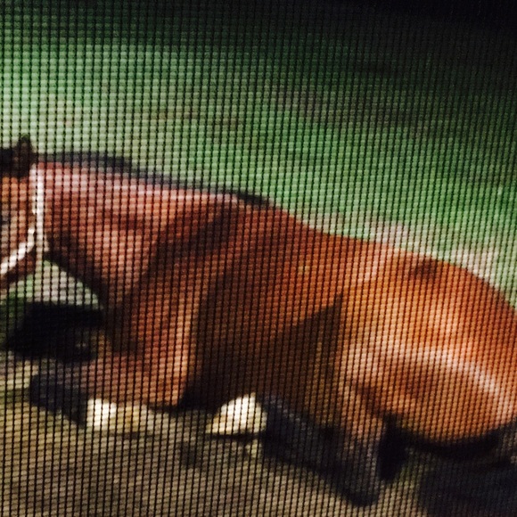 Meet your Posher, Victoria - Picture 7 of 13